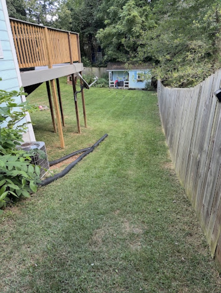 Backyard Maintenance