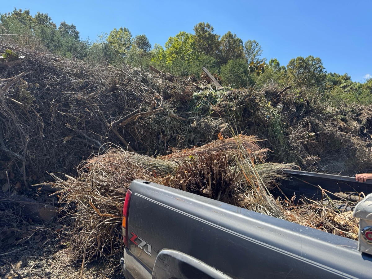 Debris Removal Service