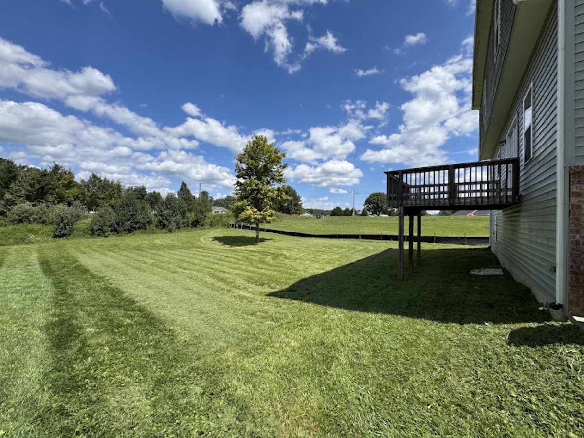 Professional Lawn Striping